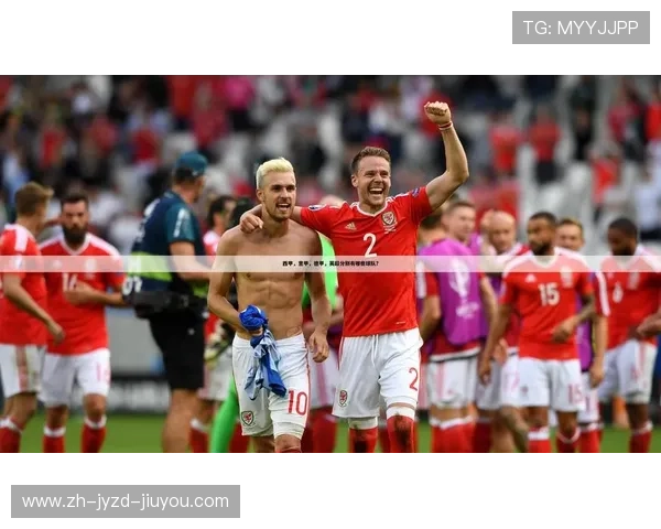 德甲球队与车企合作模式